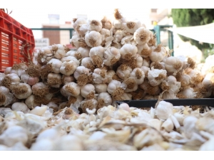 Sarımsak Halde 15, Pazarda 30 Lira