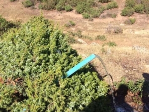 Şaphane’de Su Arama Çalışmaları Başarıyla Sonuçlandı