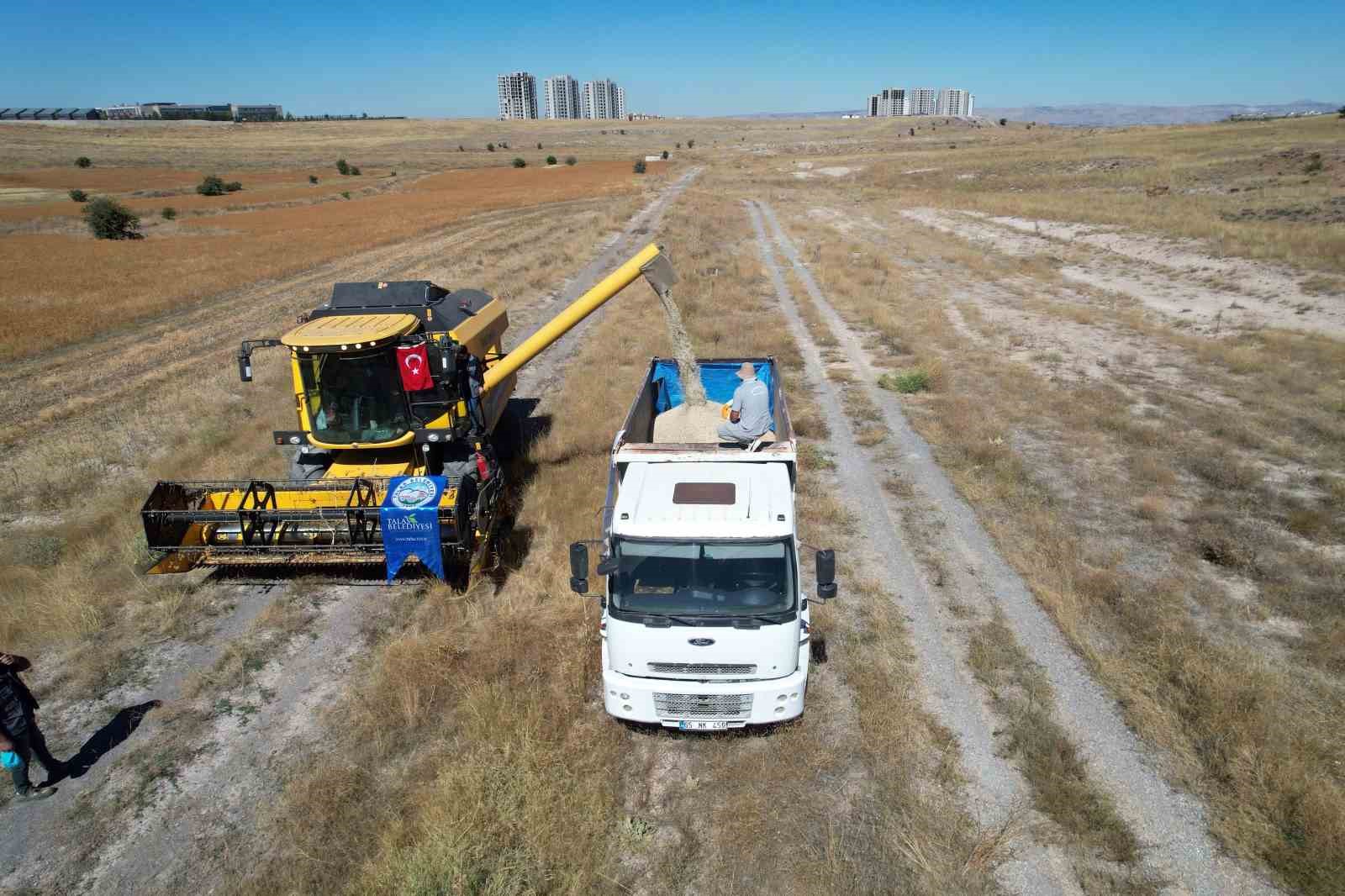 talas-ta-300-dekarda-aspir-hasadi