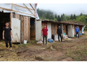 Boğalar Şampiyona Öncesi Kampa Girdi