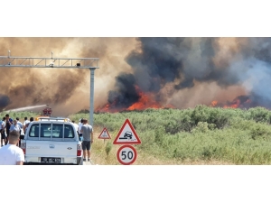 Edremit Sahili Alev Alev