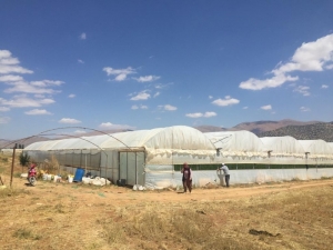 Elmalı’da Hortum Seraya Zarar Verdi