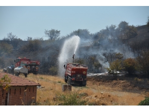 İzmir’de Makilik Alanda Yangın