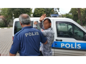 Caminin Avizelerini Çaldı