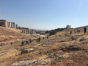 Kaçak Yapılar Yıkılacak