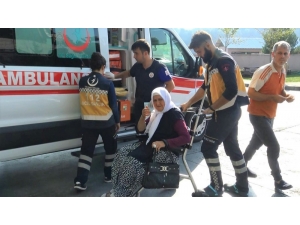 Yaşlı Kadını Çamaşır Asarken Yılan Soktu