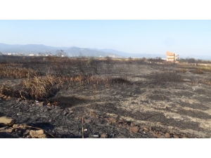 Sazlık Yangını 4 Saat Sonra Söndürüldü