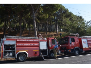 Ayvalık’ta Çıkan Orman Yangınında Vatandaşlar Etten Duvar Ördü