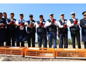 Tarım Alanlarının Yeni Bekçileri Doğaya Bırakıldı