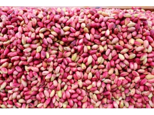 Antep Fıstığı Cep Yakıyor