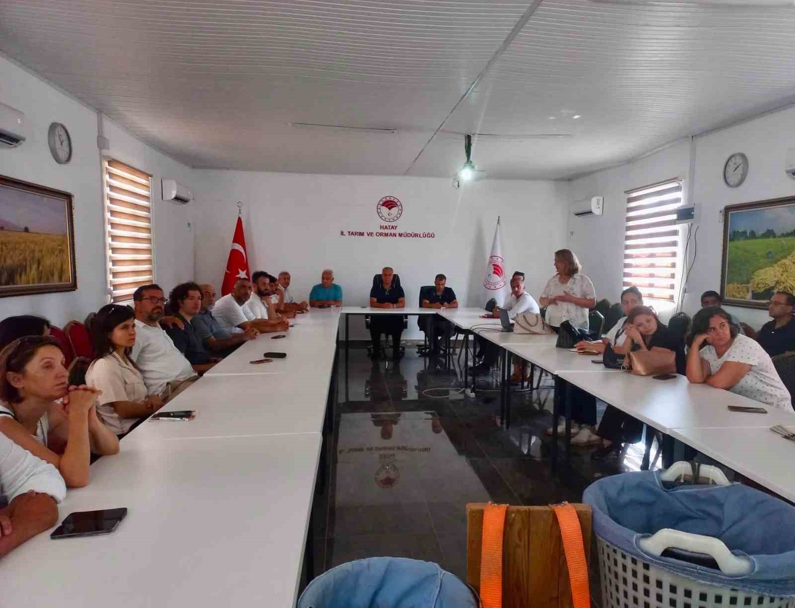 hatay-da-turuncgillerde-dogru-hasat-uygulamalari-anlatildi