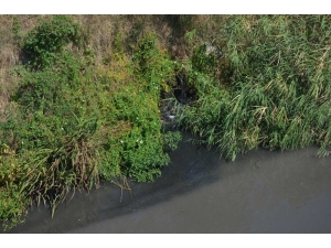 Lüleburgaz’da Derenin Rengi Değişti