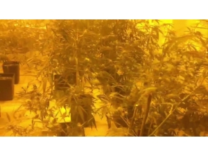 Uyuşturucu Üretilen Eve Operasyon: 2 Gözaltı