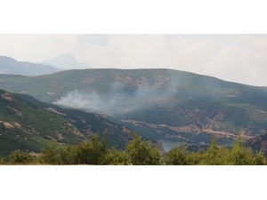 Bingöl’de Orman Yangını, Ekipler Söndürdü