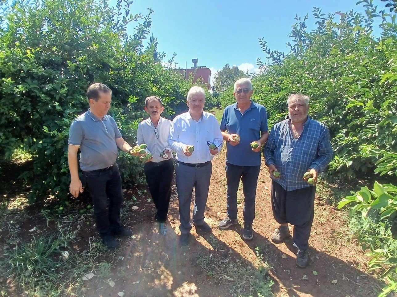yuregir-de-dolu-afeti-yaklasik-35-bin-donum-tarim-alani-zarar-gordu