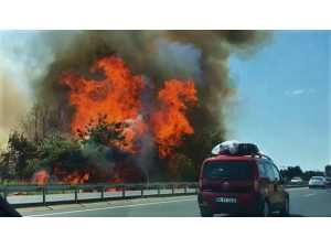 İstanbul - Tekirdağ Yolundaki Ağaçlık Alanda Büyük Yangın