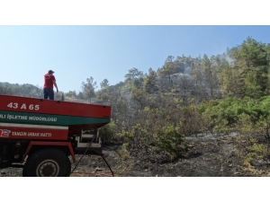 Domaniç’te Orman Yangını