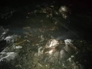 Ahır Yangınında 120 Küçükbaş Hayvan Telef Oldu