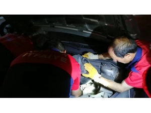 Isparta’da Yavru Kedi Kurtarma Operasyonu