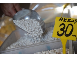 Tescilli Akkuş Fasulyesinde Rekolte Kaybı Bekleniyor