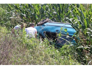 Kontrolden Çıkan Araç Mısır Tarlasına Uçtu: 4 Yaralı