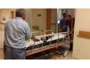 Küçük Efe Kanlar İçerisinde Kaldı