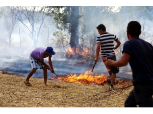 Güreşi Bırakıp Yangına Koştular