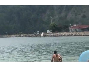 Sürücüsüz Kalan Sürat Teknesi Askeri Limana Çarptı