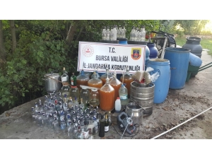 Evde İçki İmalatına Jandarmadan Baskın