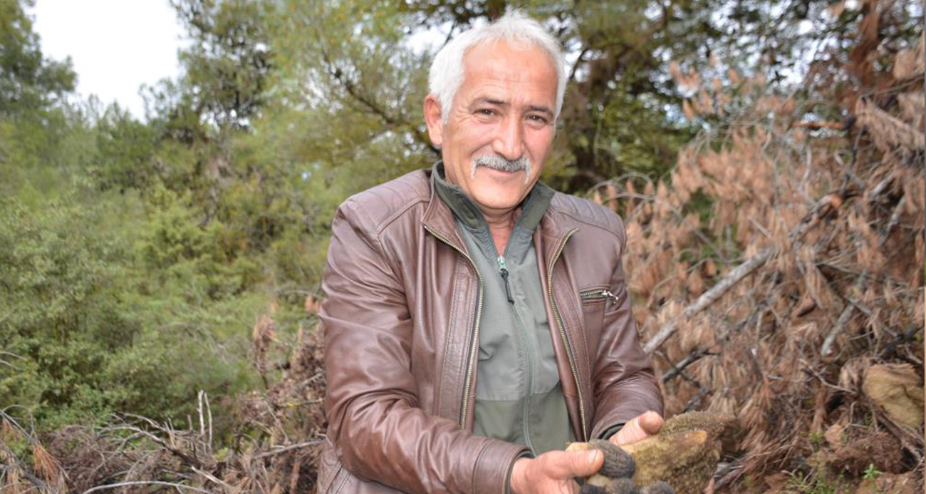 yanan-ormanlik-alanda-doganin-comertligi-koyluleri-sevindirdi-fiyati-gram-altinla-yarisiyor