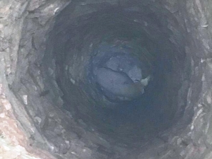 Kullanılmayan Su Kuyusuna Düşen Koçu İtfaiye Kurtardı