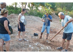 Spor Ve Yelken Kulübü Kurucusu Anısına Fidan Dikildi