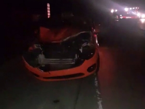 İstanbul Havalimanı Yolunda Taksinin Çarptığı Manda Telef Oldu