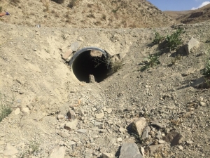 ‘Kıran Operasyonu’nda Çok Sayıda Silah Ve Mühimmat Ele Geçirildi