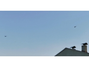 Tunceli’de 2 Terörist Etkisiz Hale Getirildi