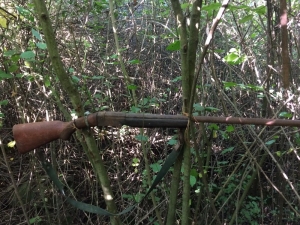 Sakarya’da Tuzak Ve Tüfekle Korunan Kenevir Tarlası Bulundu