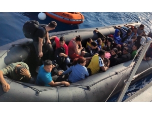 İnsan Tacirlerine Operasyon