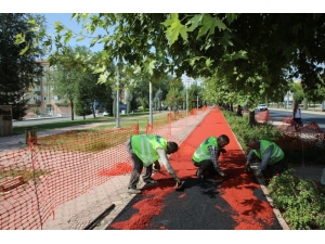 Elazığ’da Yürüyüş Yollarında Yenileme Çalışması