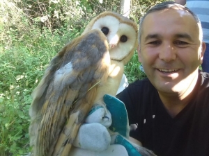 İpe Dolanan Peçeli Baykuş Kurtarıldı