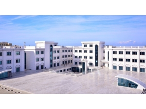 Rahim Ağzı Kanserini Yenen Hasta, Çocuk Sahibi Olabilecek