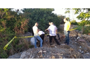 Kötü Koku Gelen Ağaçlık Alandan Ceset Çıktı