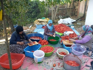 Bütün Köy Toplanıp İmece Usülü Salça Yapıyor