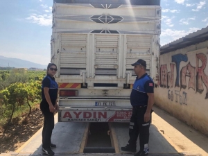 Alaşehir Belediyesi Üreticinin Alın Terini Koruyor