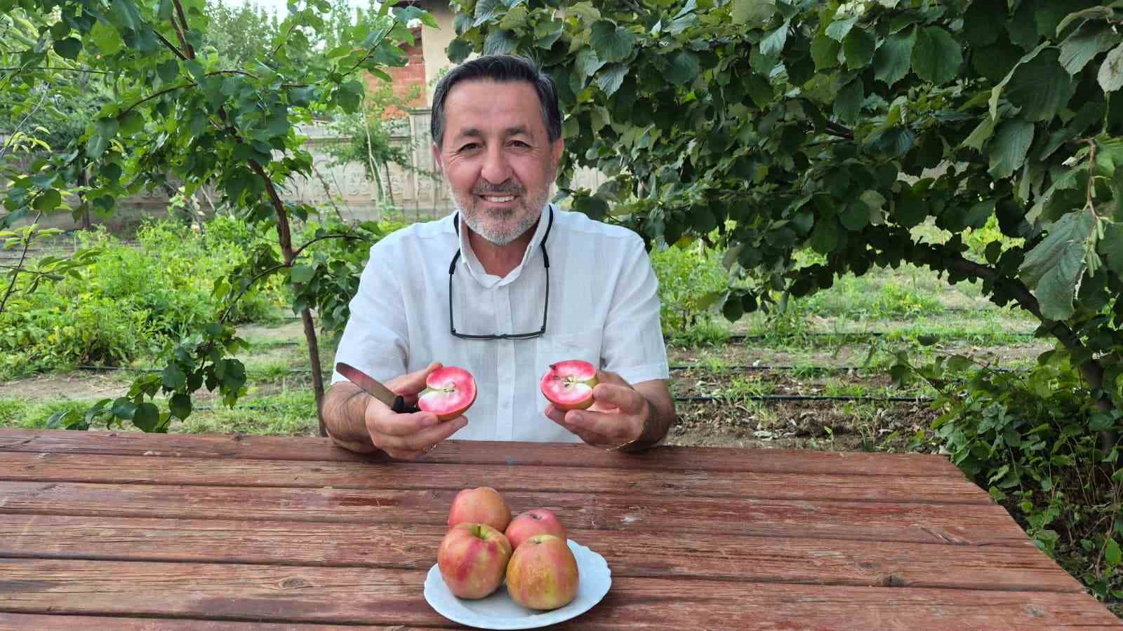 200-yillik-tescilli-lezzet-sorgun-da-hayat-buldu-ici-disi-kirmizi-elma-kan-sekerini-dengeliyor