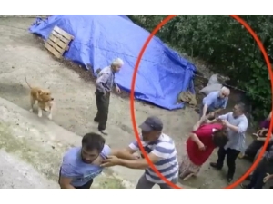 Ordu’da Arazi Kavgası: 5 Yaralı