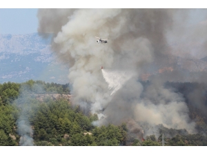 Antalya’da Antik Kent Yakınında Orman Yangını