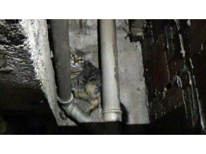 İtfaiye Erinin Zor Anları