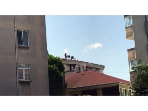 Pendik’te 5 Katlı Binanın Çatısında Tehlikeli Çalışma Kamerada