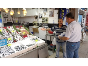 Çanakkaleli Balıkçılar Açısından Yaz Sezonu Bereketli Geçti