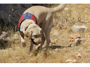 Onlar Kıran-2 Operasyonunda Teröristlerin Korkulu Rüyası